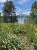 resIMG_20200627_134730_IMG_7043.jpg